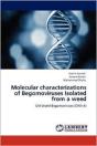 Molecular Characterizations Of Begomoviruses Isolated From A Weed - Preview