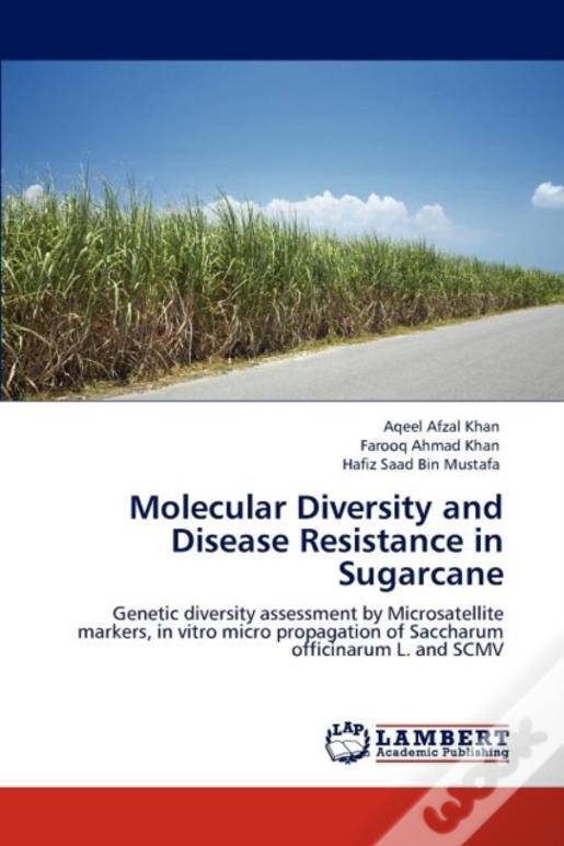 Molecular Diversity And Disease Resistance In Sugarcane