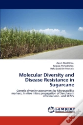 Molecular Diversity And Disease Resistance In Sugarcane