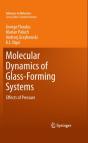 Molecular Dynamics Of Glass-Forming Systems - Preview