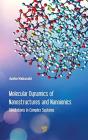 Molecular Dynamics Of Nanostructures And Nanoionics - Preview