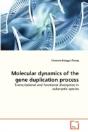Molecular Dynamics Of The Gene Duplication Process - Preview