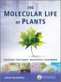 Molecular Life Of Plants - Preview