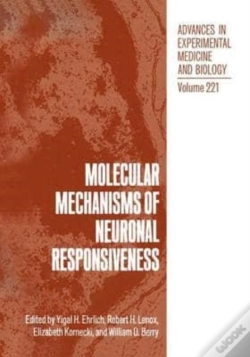 Capa do artigo Molecular Mechanisms Of Neuronal Responsiveness