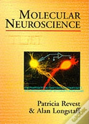 Capa do artigo Molecular Neuroscience