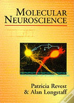 Capa do artigo Molecular Neuroscience
