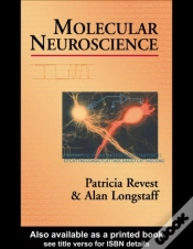Capa do artigo Molecular Neuroscience