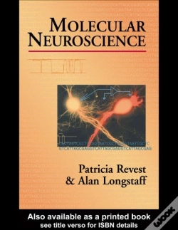 Capa do artigo Molecular Neuroscience