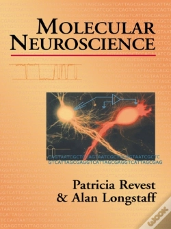 Capa do artigo Molecular Neuroscience