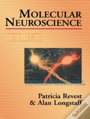 Capa do artigo Molecular Neuroscience