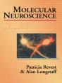 Molecular Neuroscience - Preview