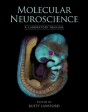 Molecular Neuroscience - Preview