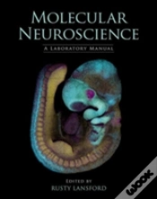 Capa do artigo Molecular Neuroscience