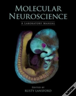 Capa do artigo Molecular Neuroscience