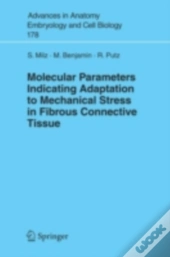 Molecular Parameters Indicating Adaptation To Mechanical Stress In Fibrous Connective Tissue