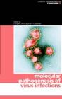 Molecular Pathogenesis Of Virus Infections - Preview