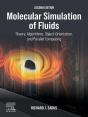 Molecular Simulation Of Fluids - Preview