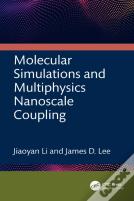 Molecular Simulations And Multiphysics Nanoscale Coupling