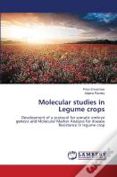 Molecular Studies In Legume Crops
