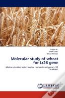 Molecular Study Of Wheat For Lr26 Gene