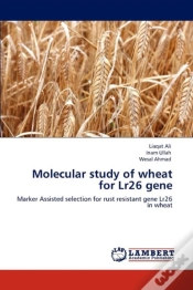 Capa do artigo Molecular Study Of Wheat For Lr26 Gene