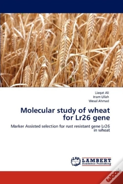 Capa do artigo Molecular Study Of Wheat For Lr26 Gene