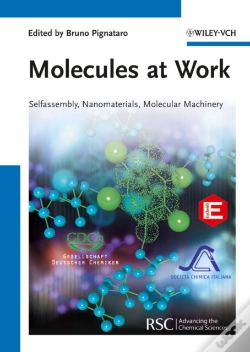 Capa do artigo Molecules At Work