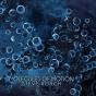 Molecules Of Motion - CD - Preview