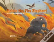 Capa do artigo Molelo The Fire Elephant