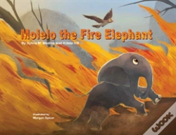 Capa do artigo Molelo The Fire Elephant