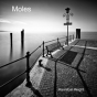 Moles - Preview