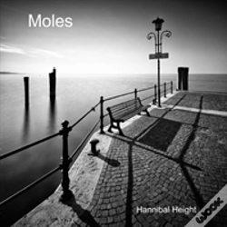 Capa do artigo Moles