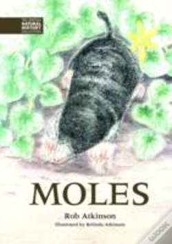 Capa do artigo Moles