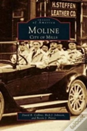 Capa do artigo Moline