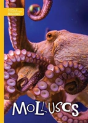 Molluscs - Preview
