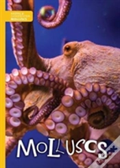 Capa do artigo Molluscs