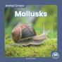 Mollusks - Preview