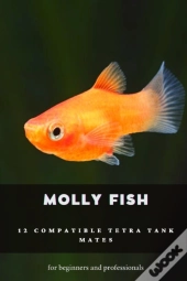 Molly Fish