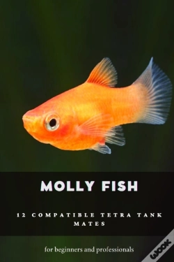 Capa do artigo Molly Fish