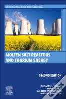 Molten Salt Reactors And Thorium Energy