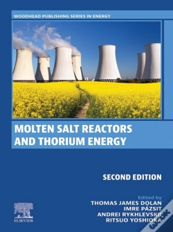 Capa do artigo Molten Salt Reactors And Thorium Energy