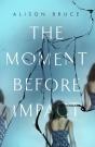 Moment Before Impact - Preview