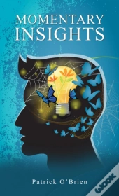 Momentary Insights