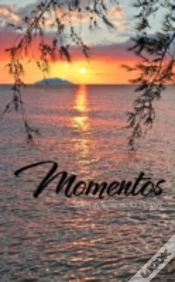 Capa do artigo Momentos