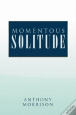 Capa do artigo Momentous Solitude
