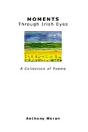 Moments Through Irish Eyes - Preview