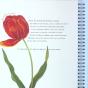 Mon Almanach ; 4 Saisons Au Jardin - Preview