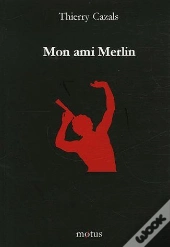 Mon Ami Merlin