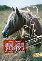 Mon Amie Flicka - Preview
