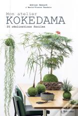 Mon Atelier Kokedama ; 25 Réalisations Faciles